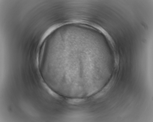 X0000113591294200910091452