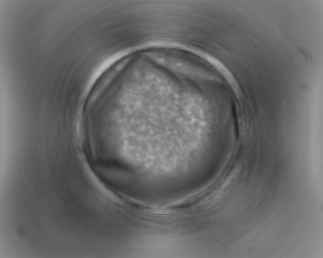 X0000113591295200910091452