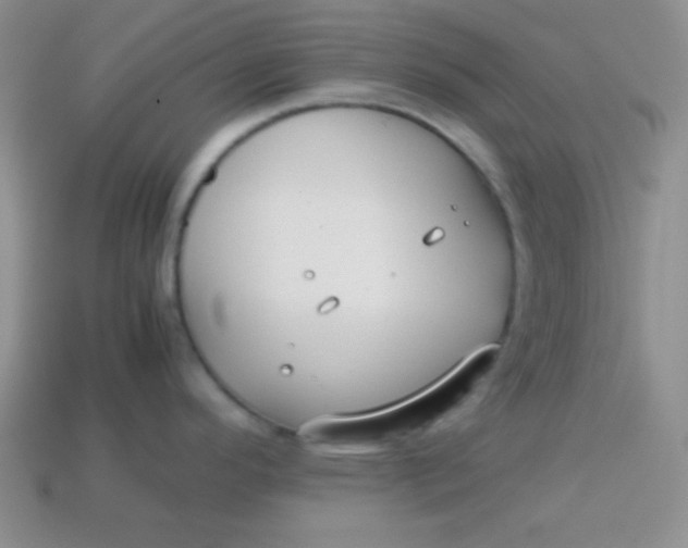 X0000113591296200910091451