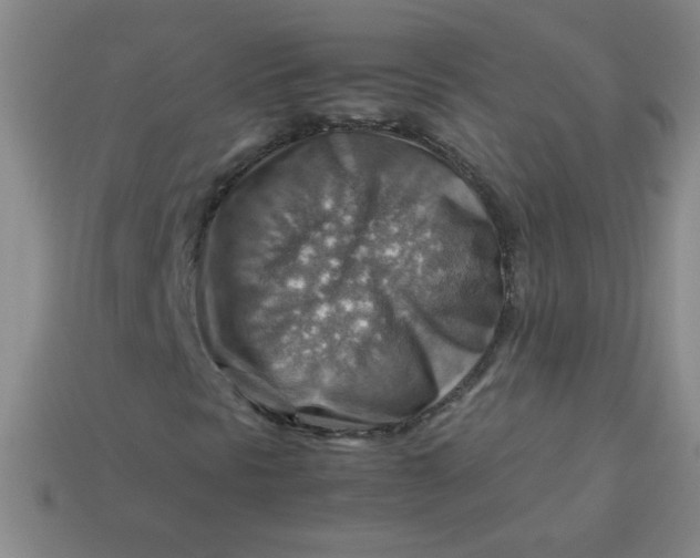 X0000113591297200910091451