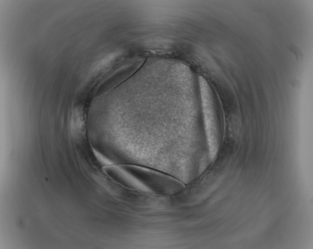 X0000113591298200910091451