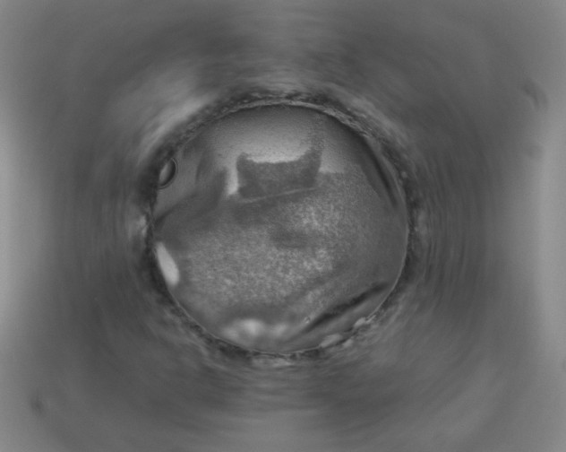 X0000113591302200910091451