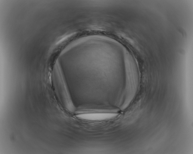 X0000113591303200910091451