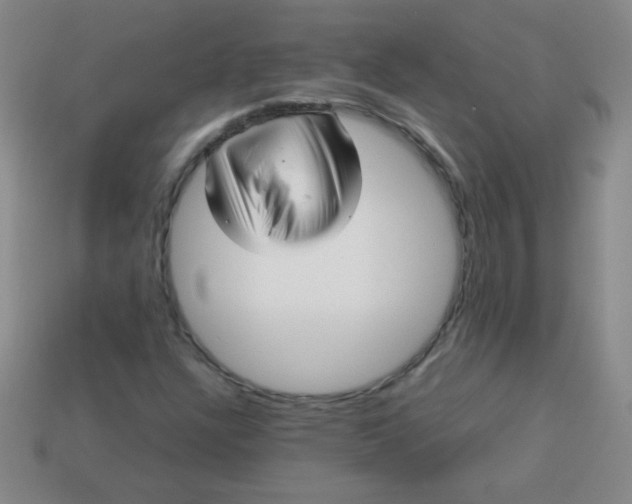 X0000113591304200910091451