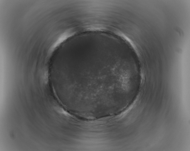 X0000113591306200910091451