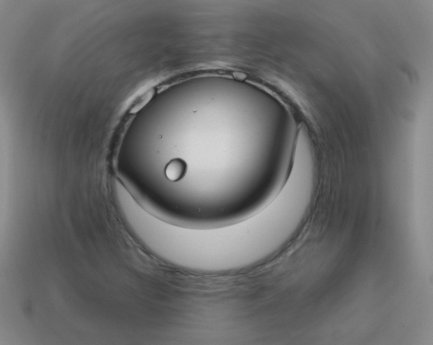 X0000113591308200910091451