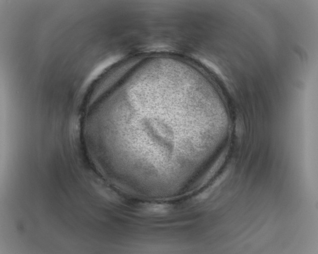 X0000113591309200910091451