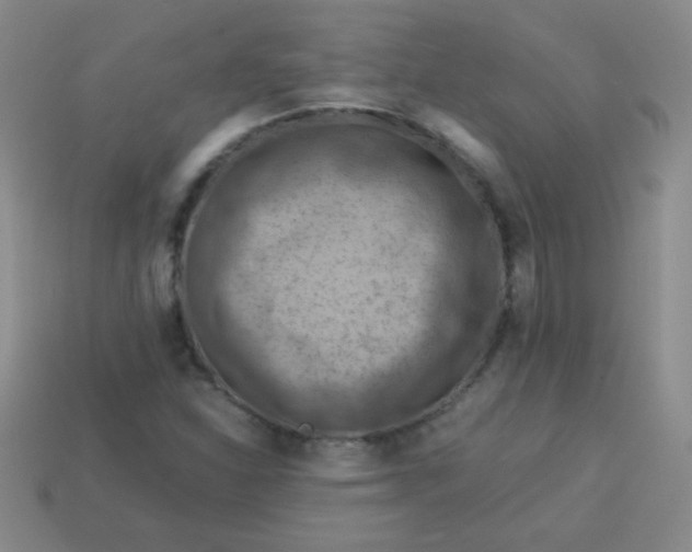 X0000113591310200910091451