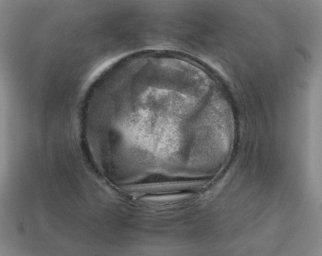 X0000113591311200910091451