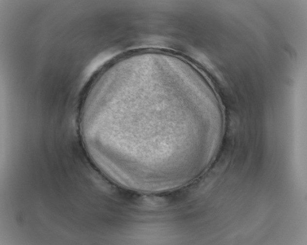 X0000113591312200910091451