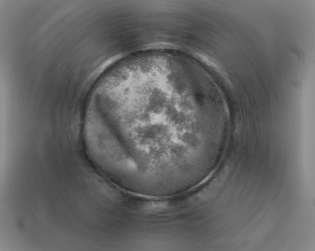 X0000113591313200910091451