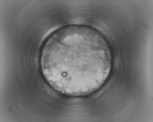 X0000113591314200910091451