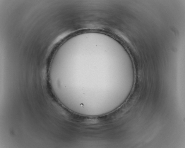 X0000113591315200910091451