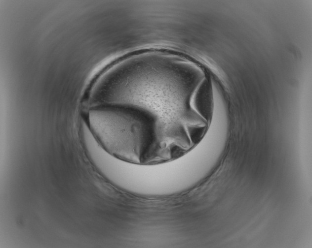 X0000113591316200910091451