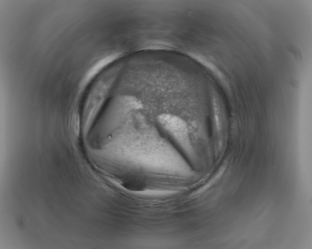 X0000113591317200910091451