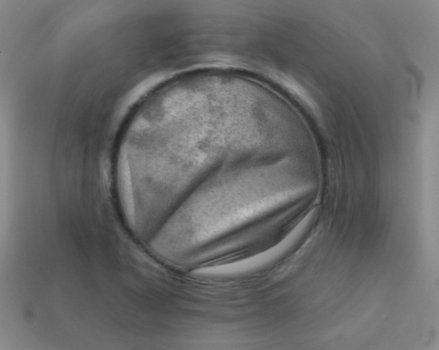 X0000113591318200910091451