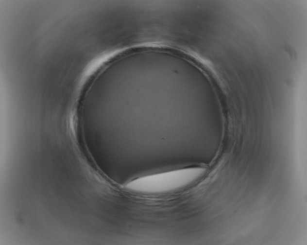 X0000113591319200910091451