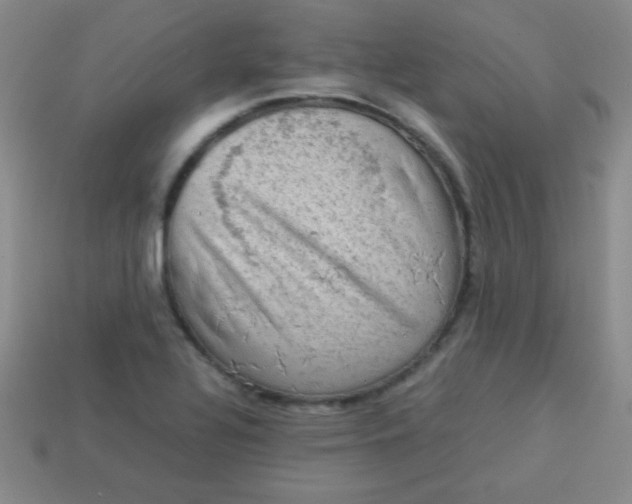 X0000113591320200910091451