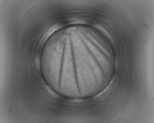 X0000113591321200910091451