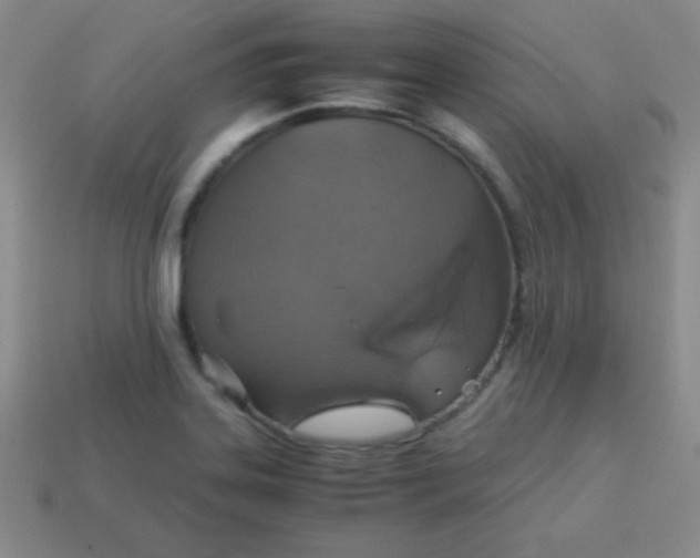 X0000113591323200910091451