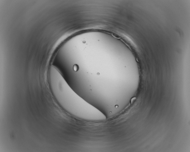 X0000113591324200910091451