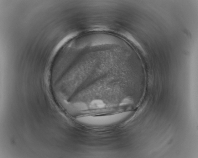 X0000113591325200910091451