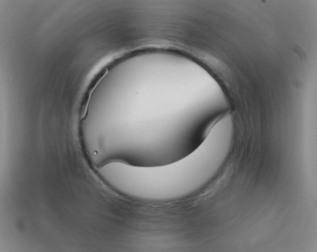 X0000113591326200910091451