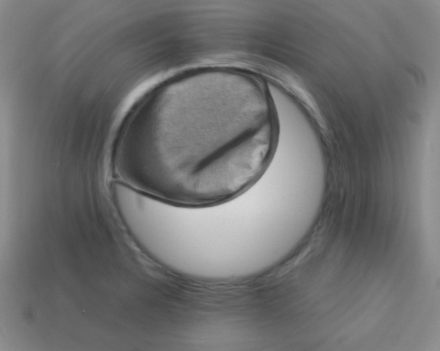 X0000113591328200910091451