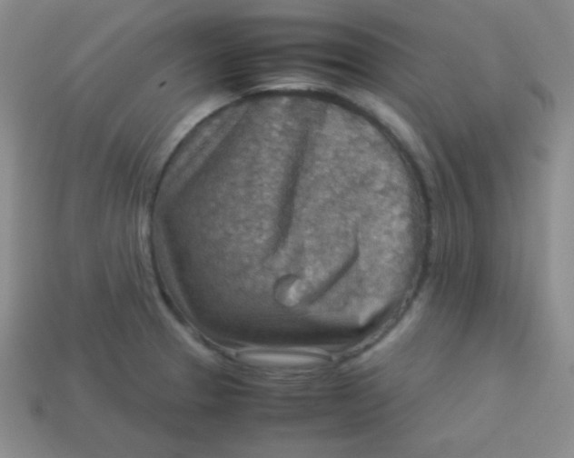 X0000113591329200910091451