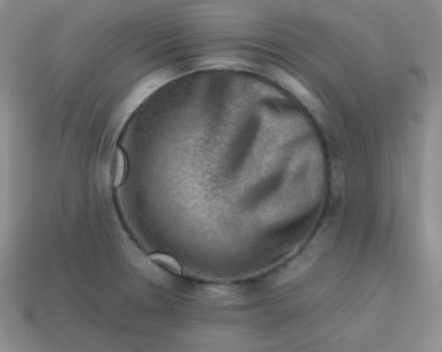 X0000113591330200910091451