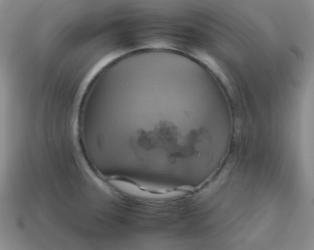 X0000113591331200910091451