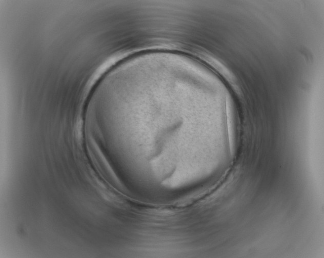 X0000113591332200910091451