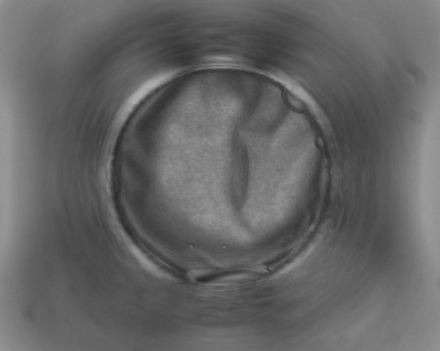 X0000113591333200910091451