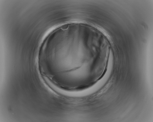 X0000113591334200910091451