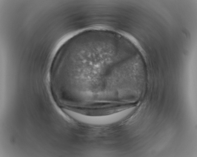 X0000113591335200910091451