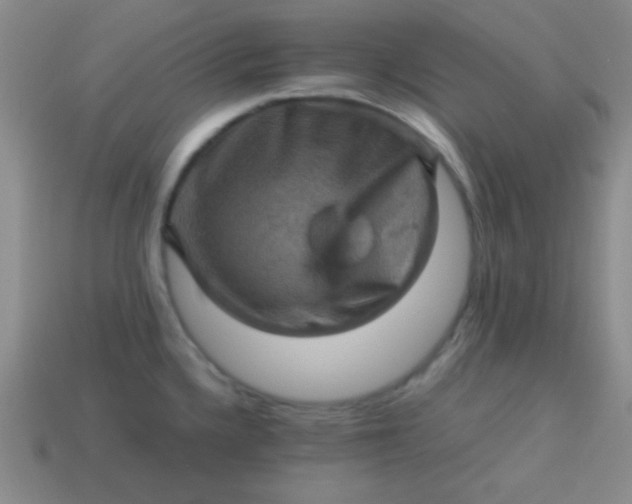 X0000113591336200910091451