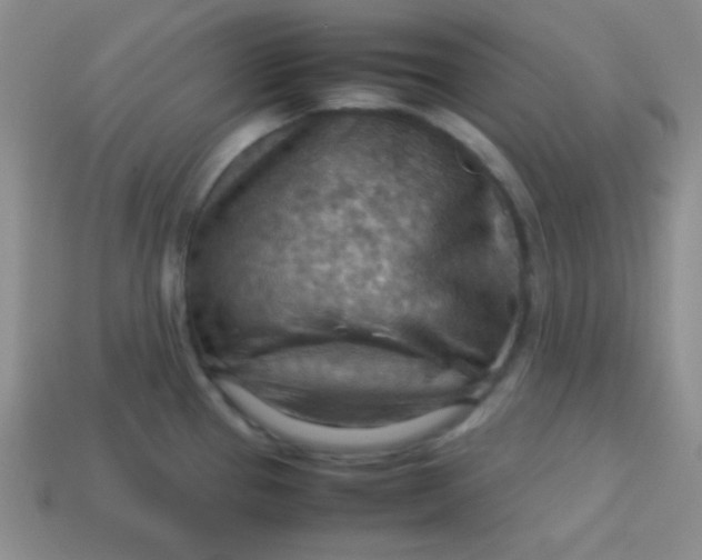 X0000113591337200910091451