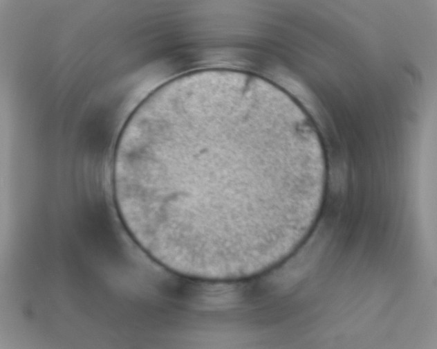 X0000113591338200910091451