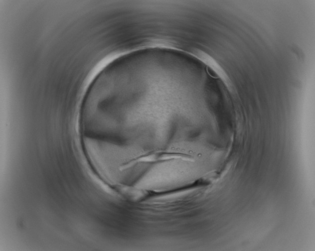 X0000113591339200910091451