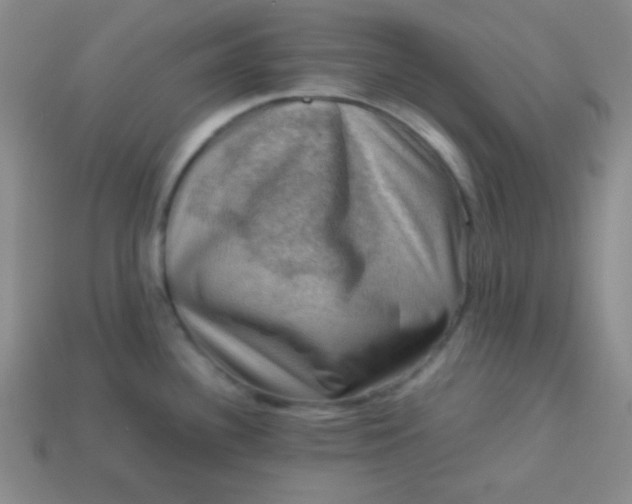 X0000113591340200910091451