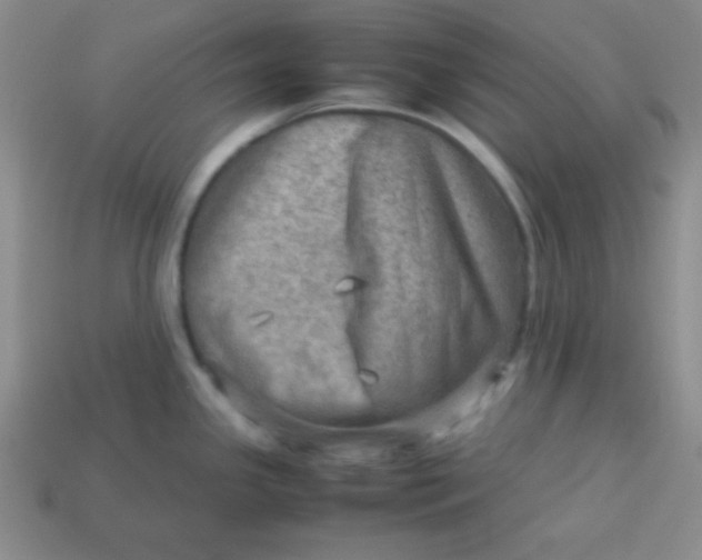 X0000113591341200910091451