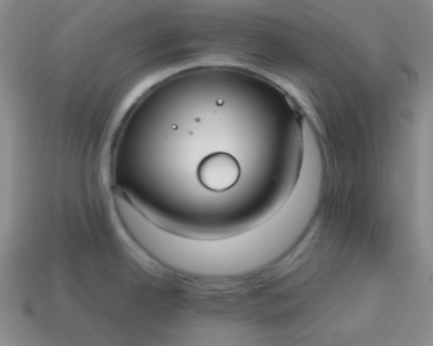 X0000113591342200910091451