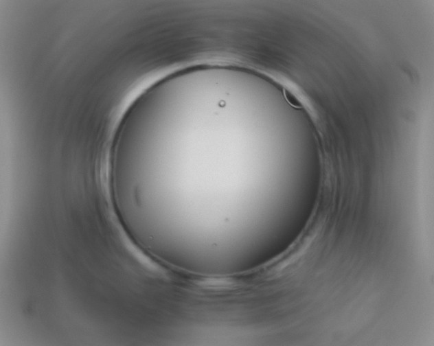 X0000113591343200910091451