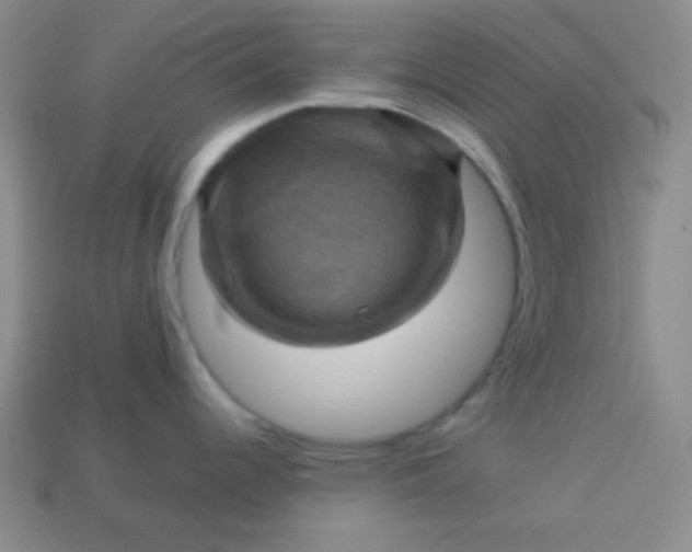 X0000113591344200910091451