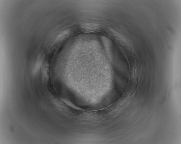 X0000113591346200910091451