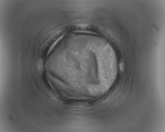 X0000113591347200910091451