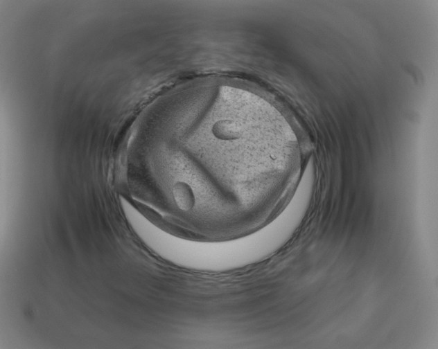 X0000113591348200910091451