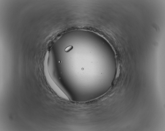 X0000113591349200910091451