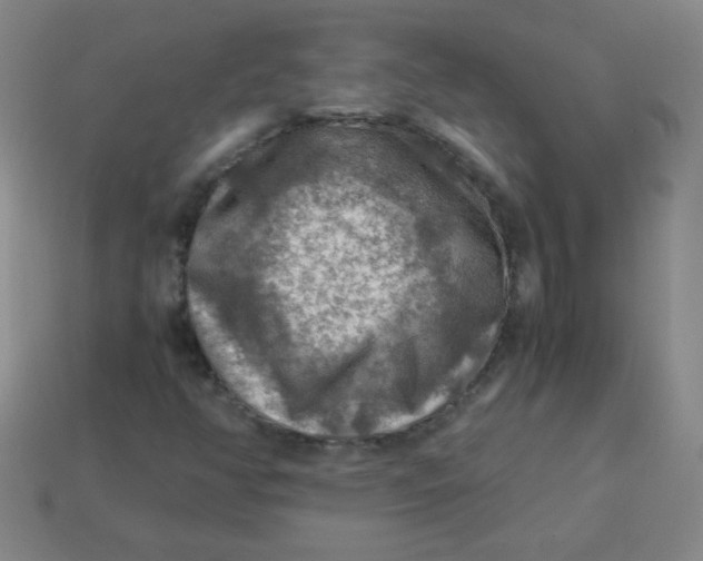 X0000113591350200910091451