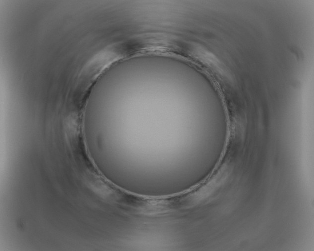 X0000113591353200910091451